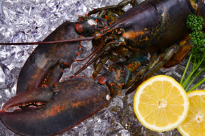 Live Maine Lobster (30 Pounds)-1.25 size