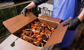 Live Maine Lobster (30 Pounds)-1.25 size